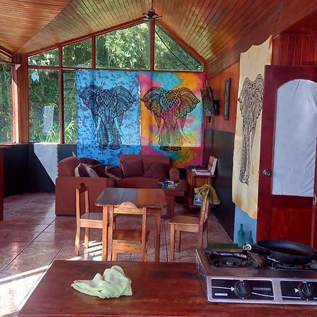 Hotel Finca Pantera Monteverde Zewnętrze zdjęcie