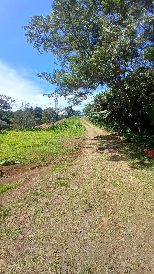 Hotel Finca Pantera Monteverde Zewnętrze zdjęcie