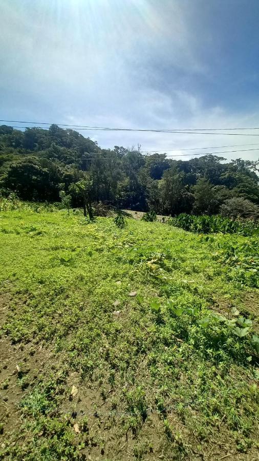 Hotel Finca Pantera Monteverde Zewnętrze zdjęcie