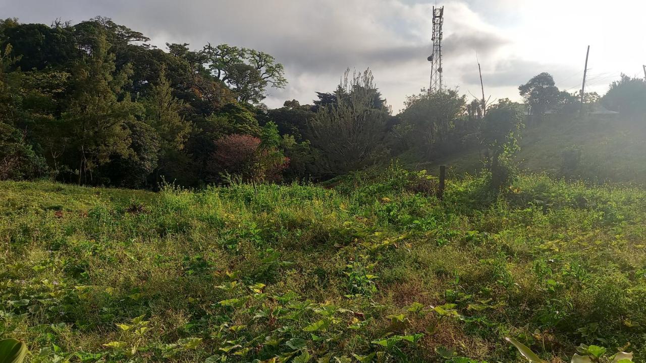 Hotel Finca Pantera Monteverde Zewnętrze zdjęcie
